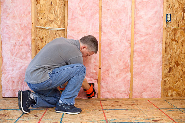 Best Geographic-Specific Insulation Services in Bolivar, MO
