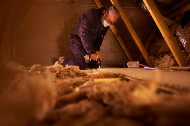 Best Energy Efficiency Insulation in Bolivar, MO